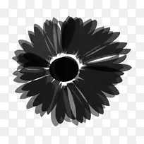 车轮-空若网 车轮-空若网