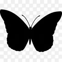 毛茸茸的蝴蝶昆虫图剪贴画-空若网 毛茸茸的蝴蝶昆虫图剪贴画-空若网