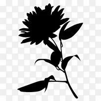 ������Ҷֲ�ﾥ��������ֲ��-������