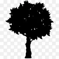 ����ֲ���Ӱ����Ҷ-������