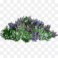 ¼ôÌù»ÎÆÉíÒÕÊõpngͼƬͼÏñ²åͼ-¿ÕÈôÍø ¼ôÌù»ÎÆÉíÒÕÊõpngͼƬͼÏñ²åͼ-¿ÕÈôÍø