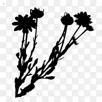 剪纸艺术植物茎轮廓开花植物-空若网 剪纸艺术植物茎轮廓开花植物-空若网