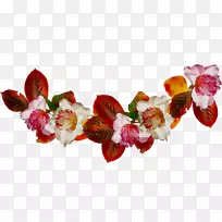 花卉设计切花开花植物-空若网 花卉设计切花开花植物-空若网