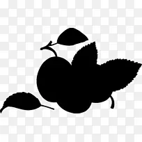 开花植物水果剪贴画剪影-空若网 开花植物水果剪贴画剪影-空若网