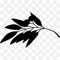 ¼ôÌù»Ò¶Ö²Îï¾¥ÂÖÀª¿ª»¨Ö²Îï-¿ÕÈôÍø ¼ôÌù»Ò¶Ö²Îï¾¥ÂÖÀª¿ª»¨Ö²Îï-¿ÕÈôÍø