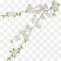 ӣ�һ�.150����v.unc.nr�Ϳ���ֲ��ӣ��-������