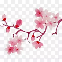 ӣ�һ�.150����v.unc.nr�Ϳ���ֲ��ӣ��-������