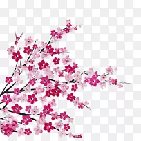 ӣ�һ�.150����v.unc.nr��ƿ���ֲ��ӣ��-������