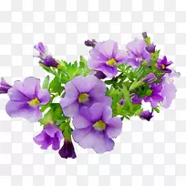 һ����ӣ��ֲ��-������