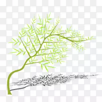 竹树枝-竹子-空若网 竹树枝-竹子-空若网