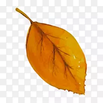 ͼÐÎͼÏñpngͼƬˮ²Ê»Ò¶ÅÄË®²Ê-¿ÕÈôÍø ͼÐÎͼÏñpngͼƬˮ²Ê»Ò¶ÅÄË®²Ê-¿ÕÈôÍø