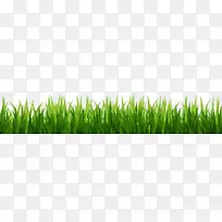 ��ƺ�����ֽ������-��-������