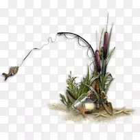 ���벩�ͺ�̲����ͼ��-����ʿ���ģ��-������