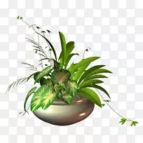 花盆花坛设计-空若网 花盆花坛设计-空若网