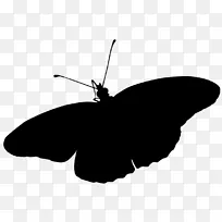 毛茸茸的蝴蝶,昆虫剪贴画轮廓线-空若网 毛茸茸的蝴蝶,昆虫剪贴画轮廓线-空若网