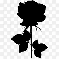 剪裁艺术剪叶植物茎开花植物-空若网 剪裁艺术剪叶植物茎开花植物-空若网