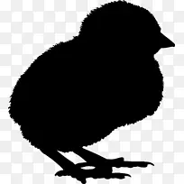 ������������⼦��Ϊʳ��-������