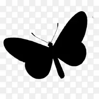 ë���׵ĺ��������������������-������