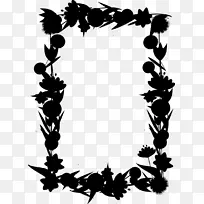 ������ͼ����ӰҶ����ֲ��-������