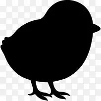 剪贴画动物剪影喙鸡作为食物-空若网 剪贴画动物剪影喙鸡作为食物-空若网