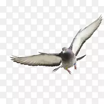 �Ÿ룬�Ҹ룬���ƣ��������-������