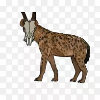 鬣狗动物野生动物剪影-鬣狗-空若网 鬣狗动物野生动物剪影-鬣狗-空若网