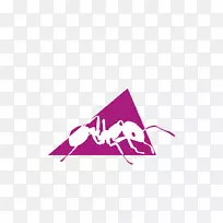 Apache ant软件构建apache软件基础apache tomcat构建自动化apache透明和半透明-空若网 Apache ant软件构建apache软件基础apache tomcat构建自动化apache透明和半透明-空若网