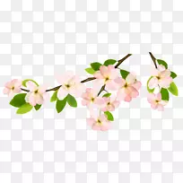 枝条插花艺术-弹簧-空若网 枝条插花艺术-弹簧-空若网