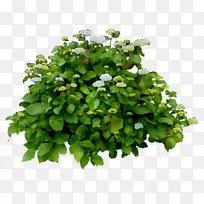 花盆Adirondack椅子播种机快速进口-空若网 花盆Adirondack椅子播种机快速进口-空若网