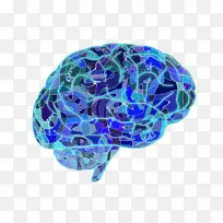 �������������񾭿�ѧ������Ԫ����ϸ��-������