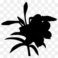 �����������ӰҶ����ֲ��-������