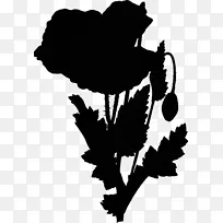 ����ֲ��ͼ�β�ͼ��Ӱ-������