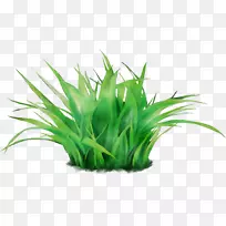 ������ݻ�ˮ���װ�������򾭵��ղ�-������