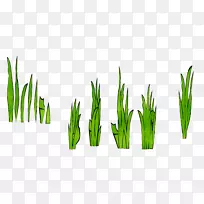 麦草绿色商品植物茎植物-空若网 麦草绿色商品植物茎植物-空若网