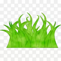 麦草绿叶植物茎系-空若网 麦草绿叶植物茎系-空若网