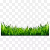 免费图形剪贴画摄影图片-空若网 免费图形剪贴画摄影图片-空若网