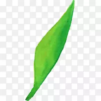 ¼ôÖ½ÒÕÊõ.Ë®²Ê»Ò¶×Ó-¿ÕÈôÍø ¼ôÖ½ÒÕÊõ.Ë®²Ê»Ò¶×Ó-¿ÕÈôÍø