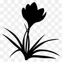 剪贴画叶植物茎轮廓开花植物-空若网 剪贴画叶植物茎轮廓开花植物-空若网