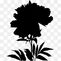 剪纸艺术植物茎轮廓开花植物-空若网 剪纸艺术植物茎轮廓开花植物-空若网