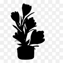 ����ֲ�ﾥҶ����-������