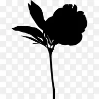 Ҷֲ�ﾥ��������Ӱ����ֲ��-������