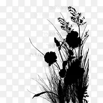 昆虫开花植物轮廓膜-空若网 昆虫开花植物轮廓膜-空若网