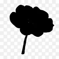 ��Ӱ����Ҷ������ֲ��-������