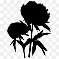 昆虫花夹艺术叶植物茎-空若网 昆虫花夹艺术叶植物茎-空若网