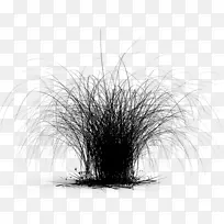 ��-������