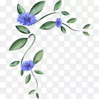 花卉设计植物茎开花植物分枝-龙舌兰框架-空若网 花卉设计植物茎开花植物分枝-龙舌兰框架-空若网