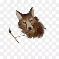 ��ë�����ӣ���������-��-������