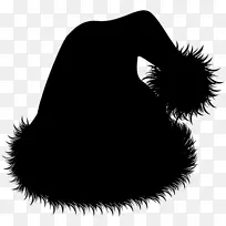食肉动物毛皮字体鼻子黑色m-空若网 食肉动物毛皮字体鼻子黑色m-空若网