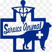 ��������־��֯Ʒ�Ʋ�Ʒ-������ѵ-������