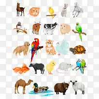 猫宠物图形摄影插图.双体动物装饰品-空若网 猫宠物图形摄影插图.双体动物装饰品-空若网